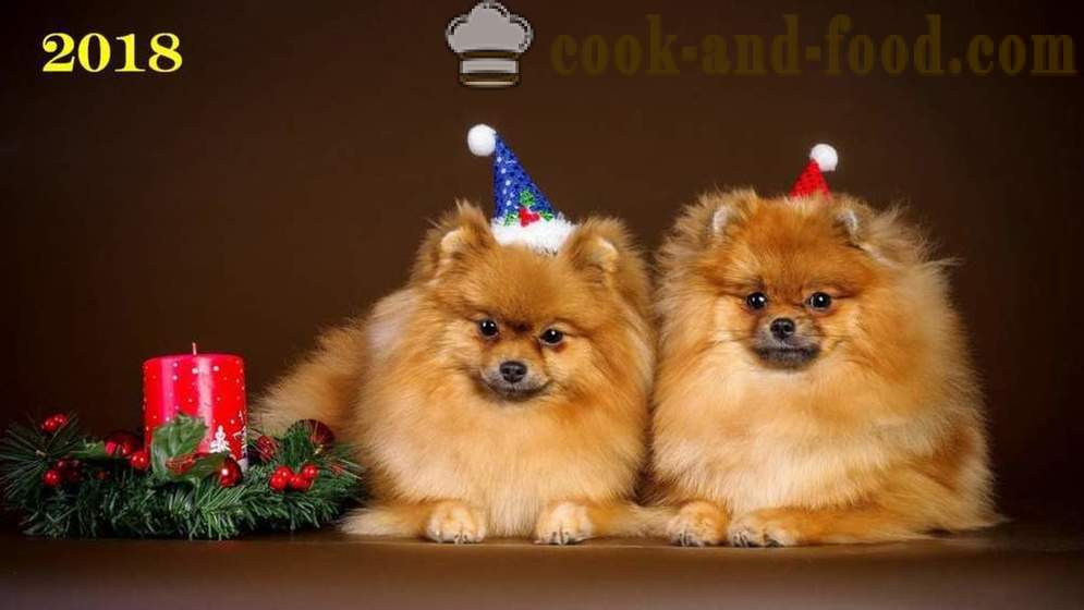 Wallpaper gratis Natale 2018 cani, cani e cuccioli - scaricare sfondi sul tuo desktop gratis