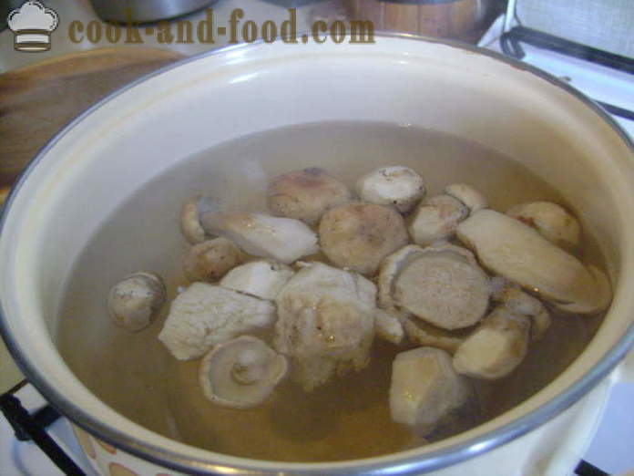 Zuppa di funghi Delicious dai funghi bianchi congelati - come cucinare la zuppa di funghi bianchi congelati, un passo per passo ricetta foto