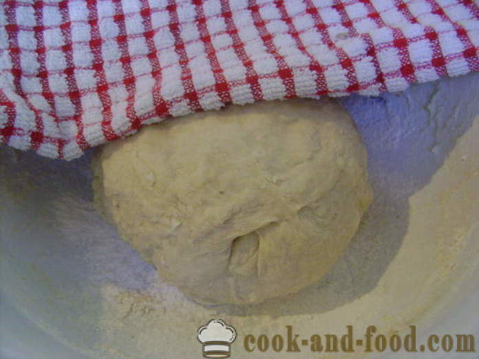 Pasta di lievito per torte salate fritte con il latte - Preparazione impasto di lievito per torte salate, fritti, con un passo per passo ricetta foto