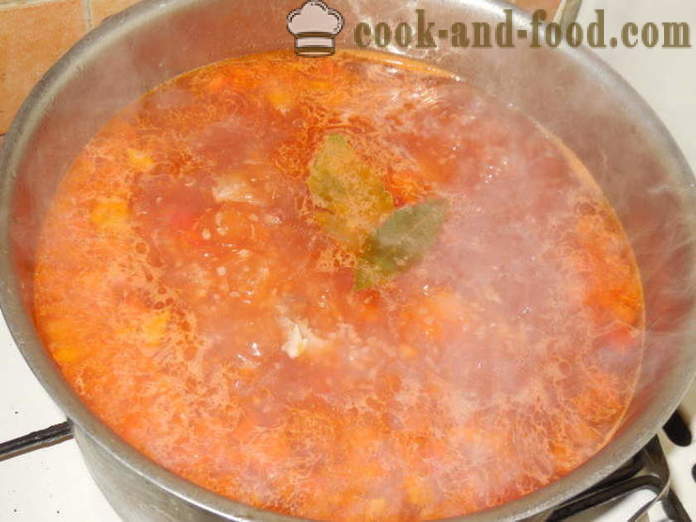 Dietetico minestra di brodo di tacchino con verdure - come cucinare una deliziosa zuppa di tacchino, un passo per passo ricetta foto