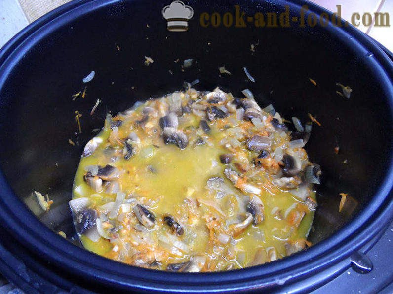 Petto di pollo con funghi al vino bianco - Come cucinare un petto di pollo cotto a vapore in multivarka con funghi, un passo per passo ricetta foto