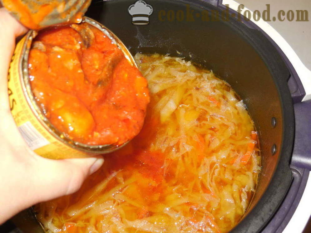 Minestra di verdura con le sarde in salsa di pomodoro in multivarka - come cucinare zuppa di verdure con le acciughe, un passo per passo ricetta foto