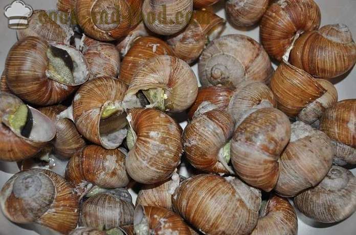 Preparazione delle lumache a casa - come preparare le lumache deliziosa ricetta con una foto