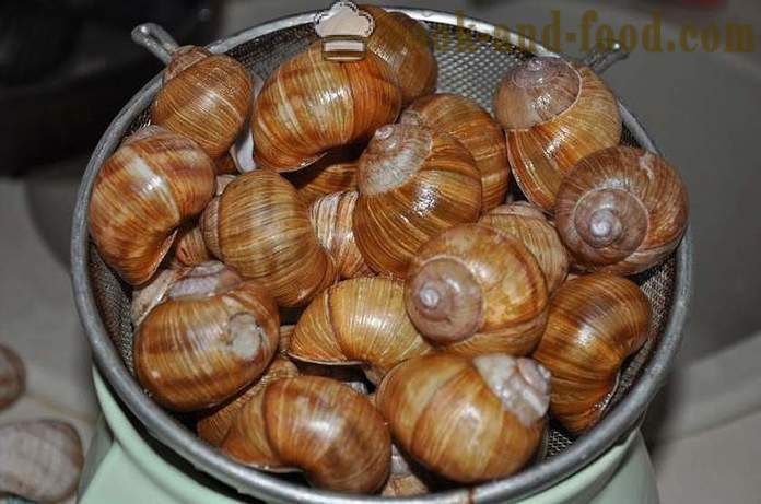 Preparazione delle lumache a casa - come preparare le lumache deliziosa ricetta con una foto