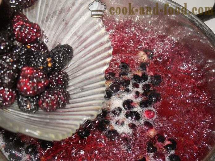 Gelatina di frutta bacche di ribes, more, albicocche e amido - come cucinare le bacche di gelatina e amido, con un passo per passo ricetta foto