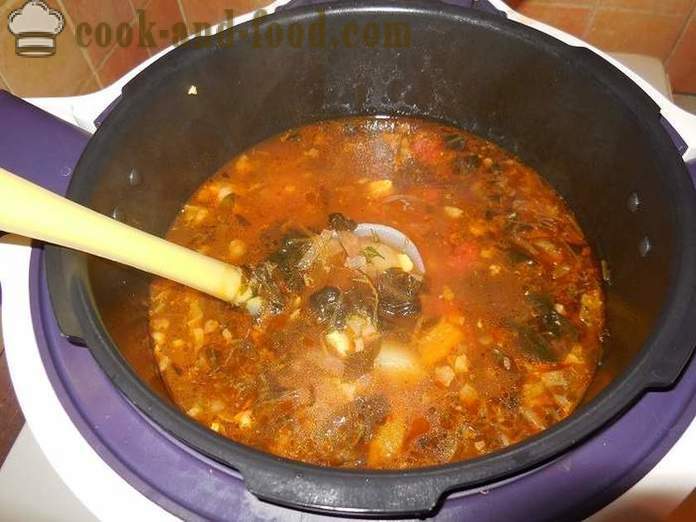 Zuppa di verde con acetosa in multivarka come cucinare la zuppa verde in multivarka, passo dopo passo la ricetta con le foto.