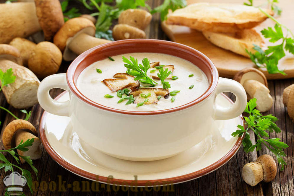 Bianco zuppa di funghi: due ricette di piatti deliziosi