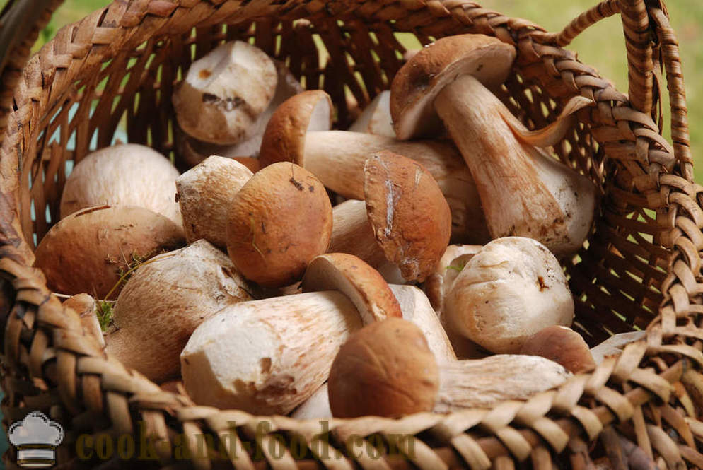 Funghi di stagione: 5 Ricette dalla rivista di Jamie Oliver - video ricette a casa
