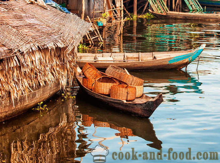 Cambogia: qui mangiare di tutto - video ricette a casa